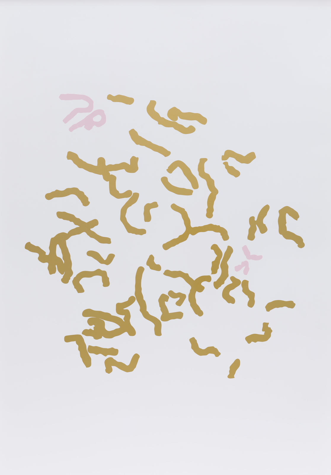 G-banding Microchimerism 46, XX+