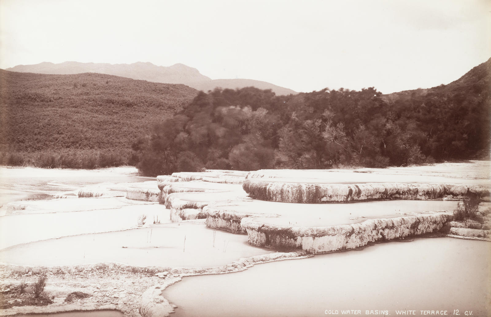 Cold Water Basins. White Terrace. 12.
