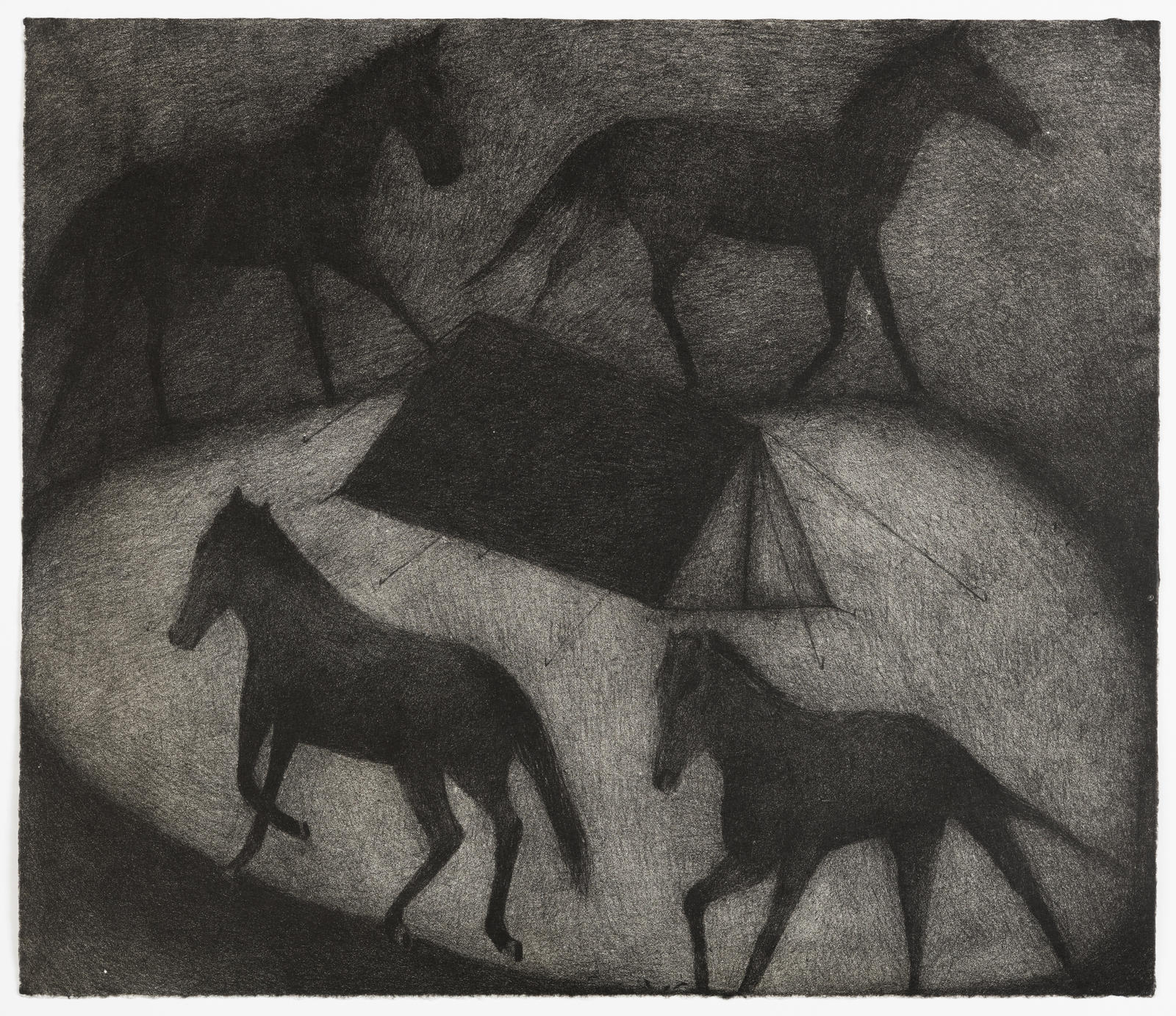 Attacked by wild horses