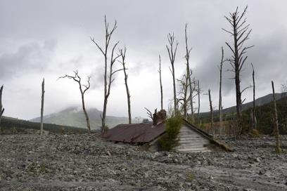 Buried house — Barton’s Gully (Mangarārā stream flowing into Waiorongomai river)