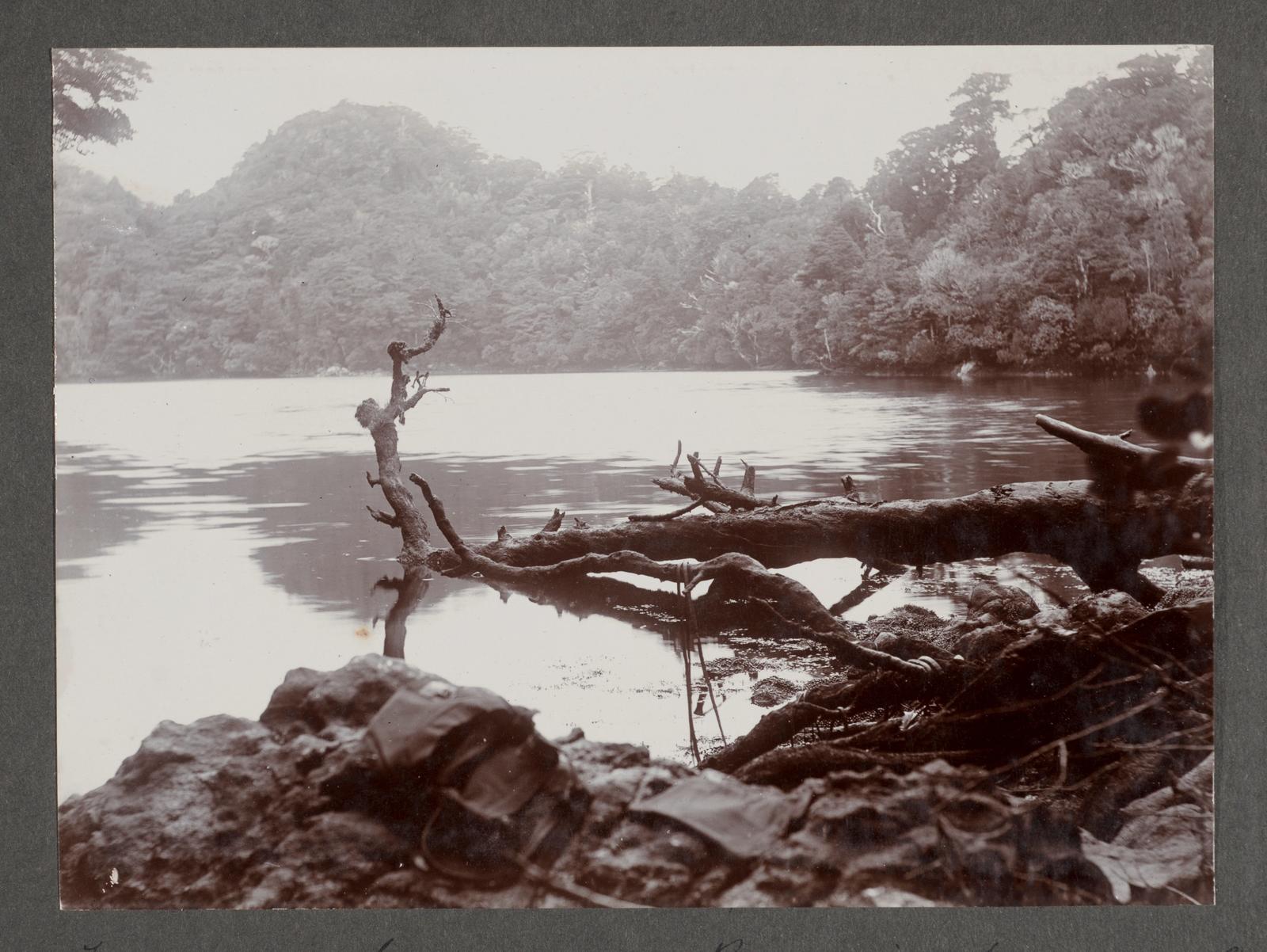 Luncheon Cove