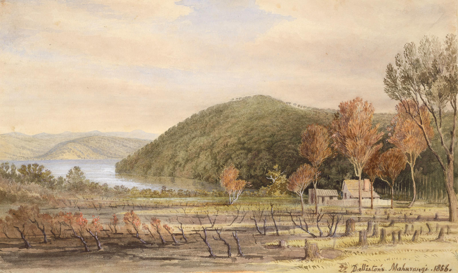 Mahurangi (Dr Dalliston's House)