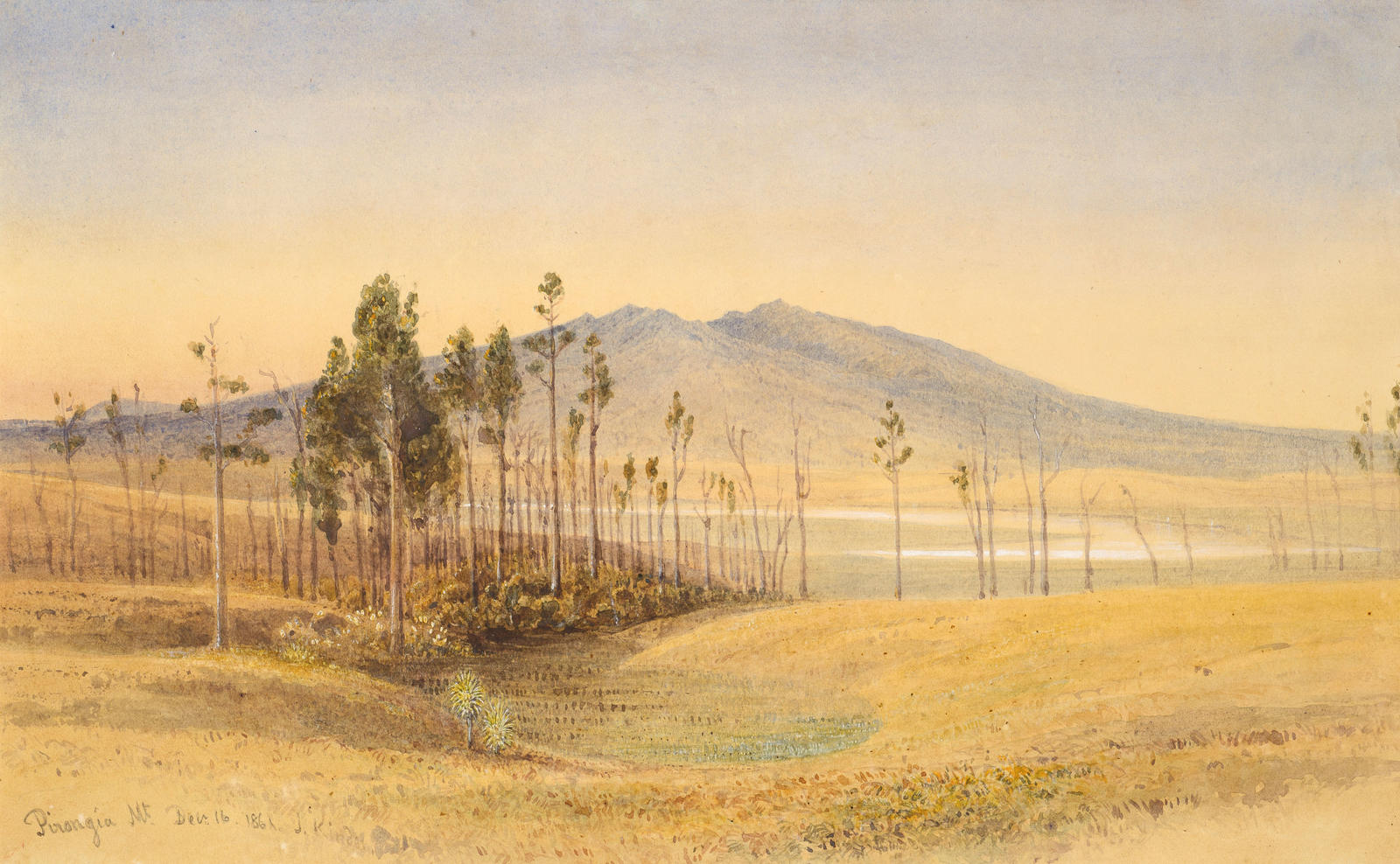 Pirongia Mountain