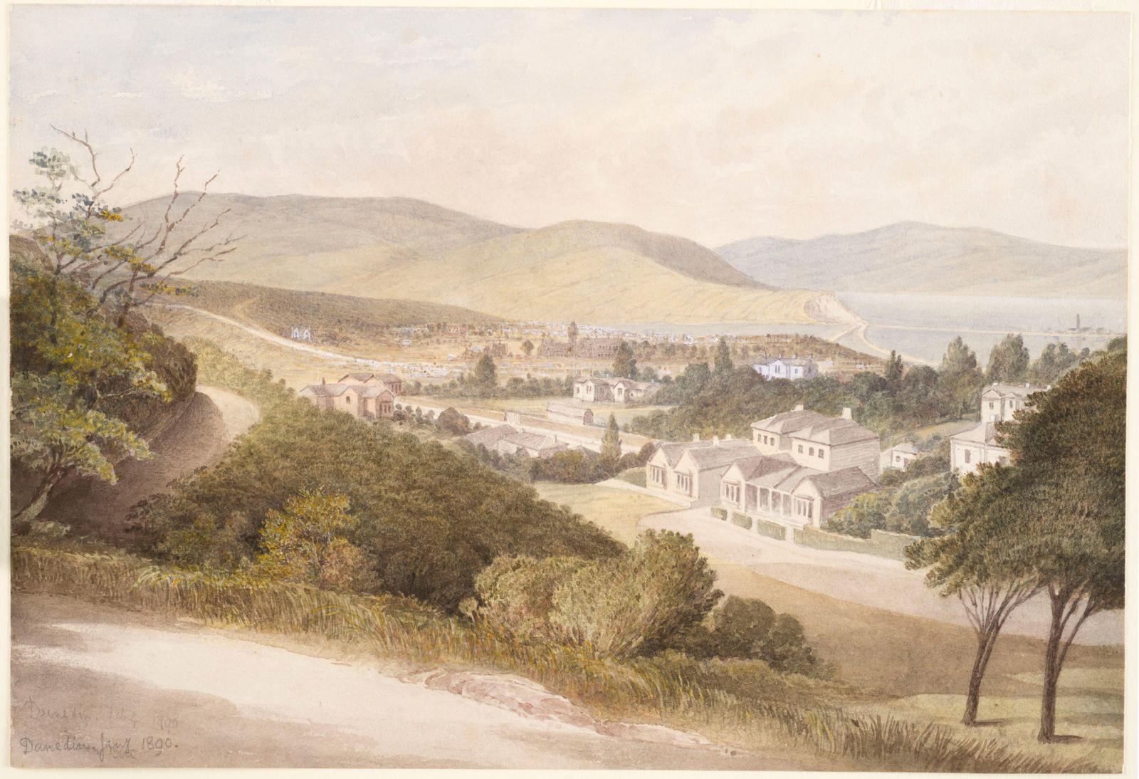 Dunedin from Queen's Drive