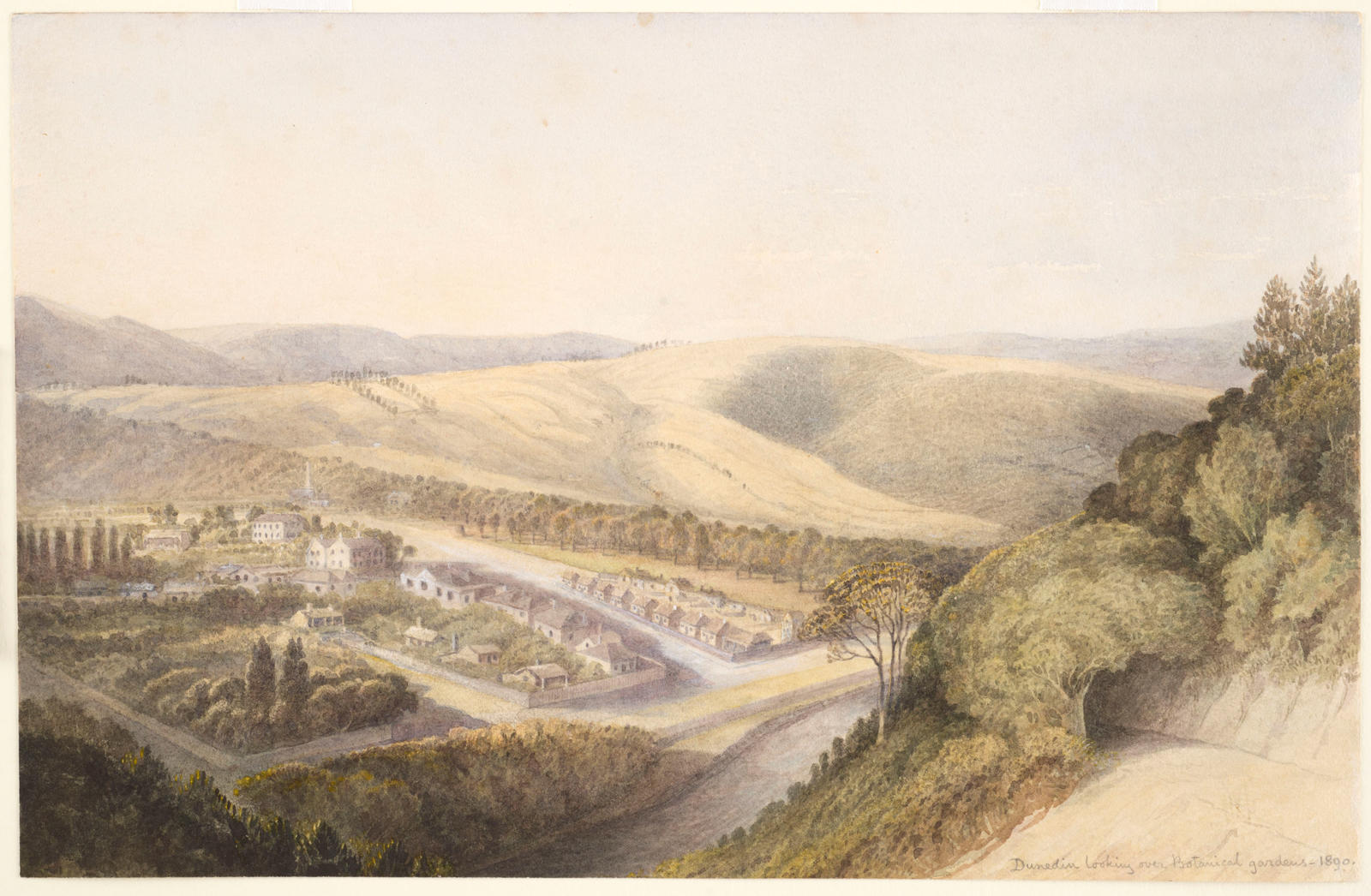 Dunedin, The Botanical Gardens