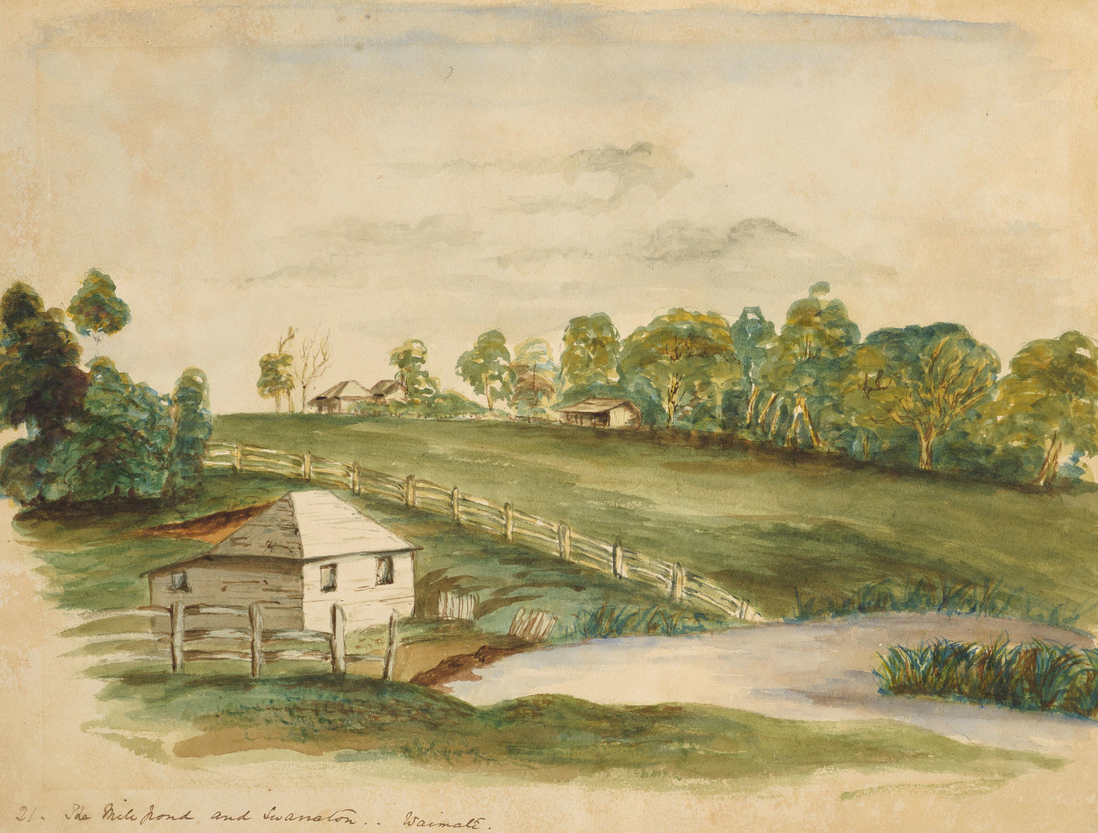 The Millpond and Swanston-Waimate