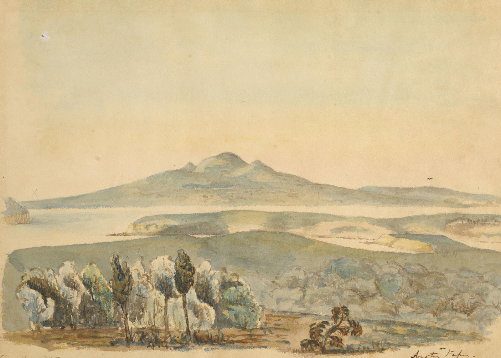 Rangitoto: Auckland Harbour, Purewa Creek, Motutapu