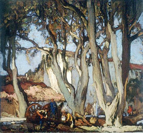 Trees at Avignon
