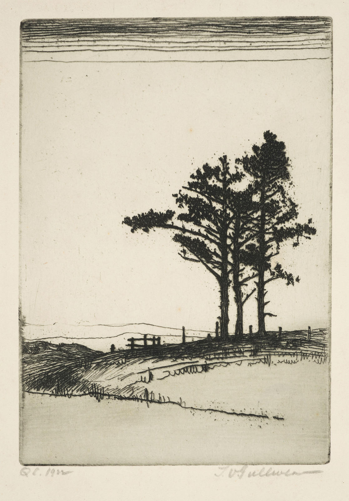 Domain Trees