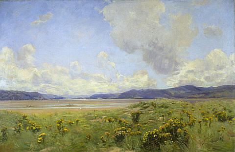 The Estuary of Aberdovy