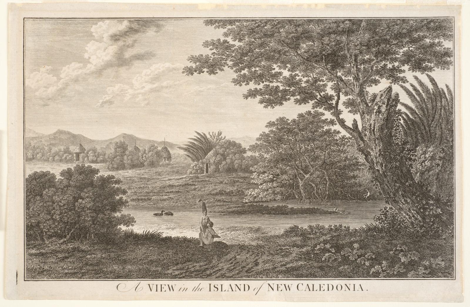 A View in the Island of New Caledonia