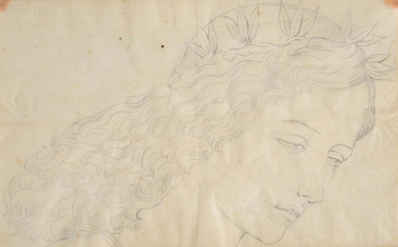 Head of a Woman