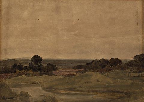 Near Glastonbury