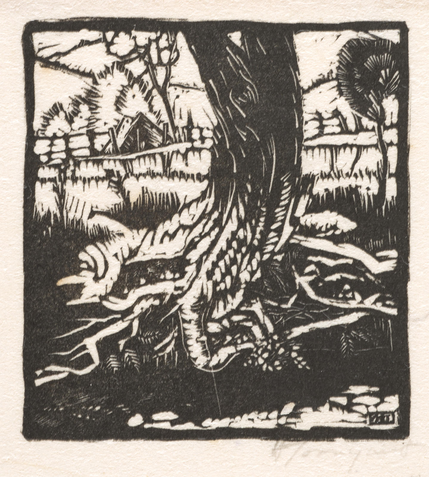 Tree Stump