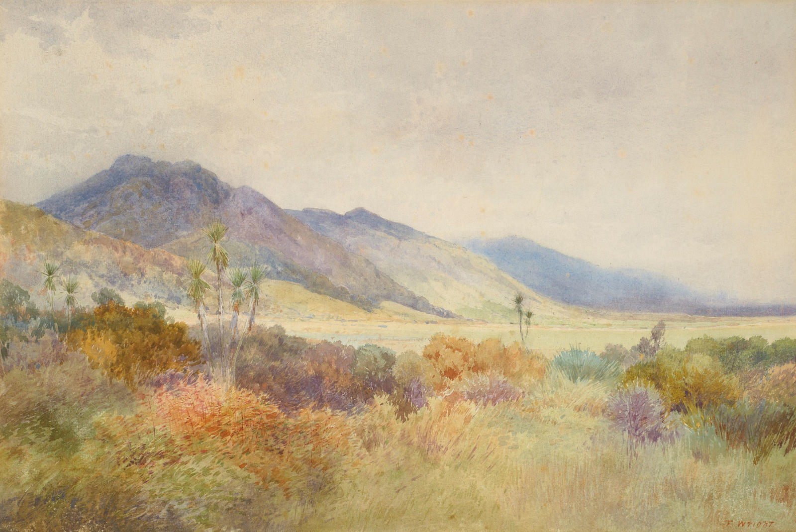 Landscape