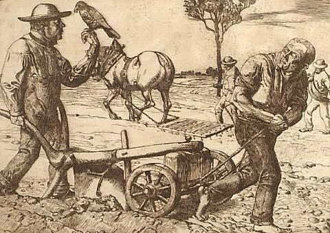 Ploughing and Harrowing