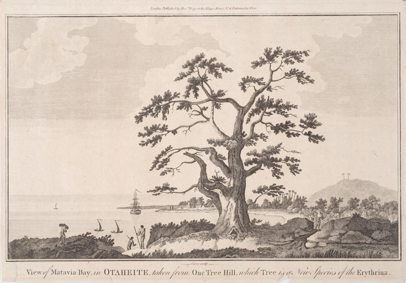 View of Matavia Bay in Otaheite taken from One Tree Hill, which tree is a new species of the Erythrina