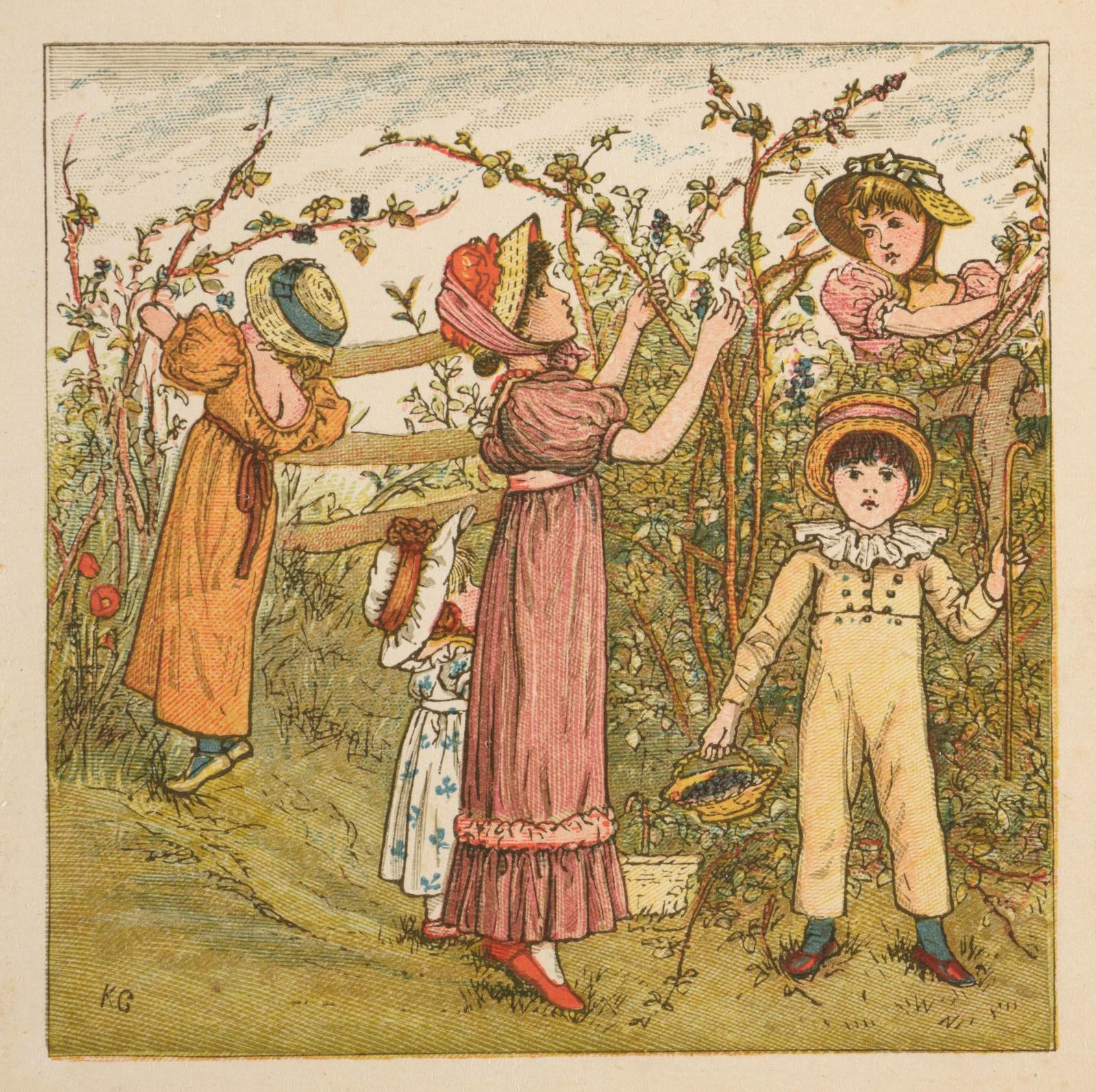 Four Girls and a Boy Gathering Blackberries