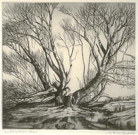 Winter Willows