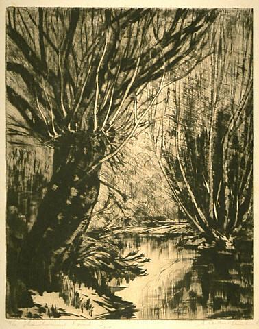 The Shadowed Pool