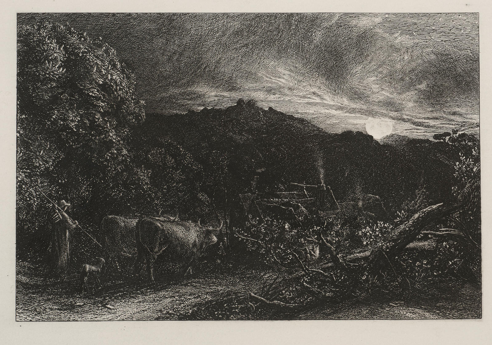 The Weary Ploughman (The Herdsman or Tardus Bubulcus)
