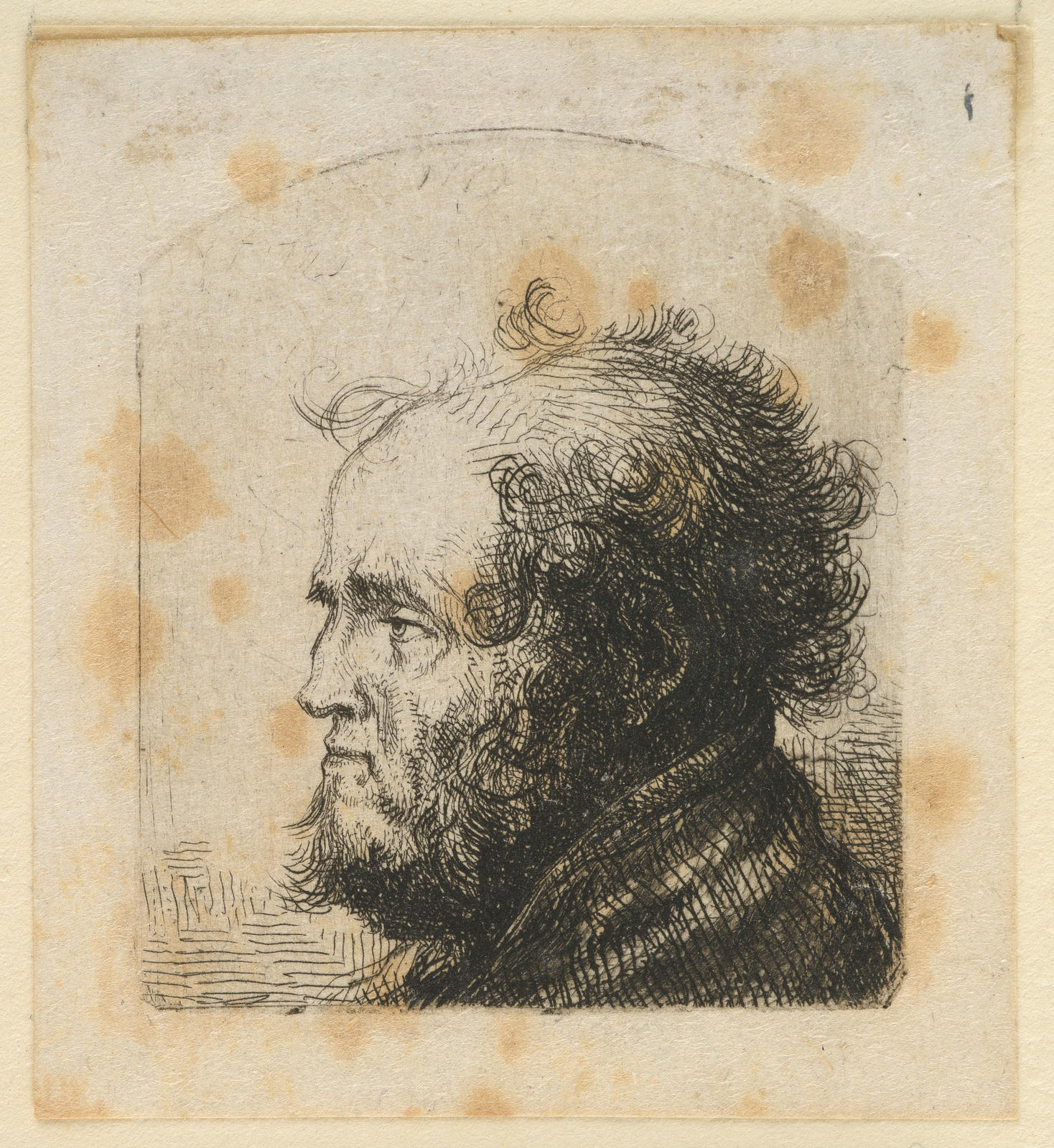 Head of a Balding Man