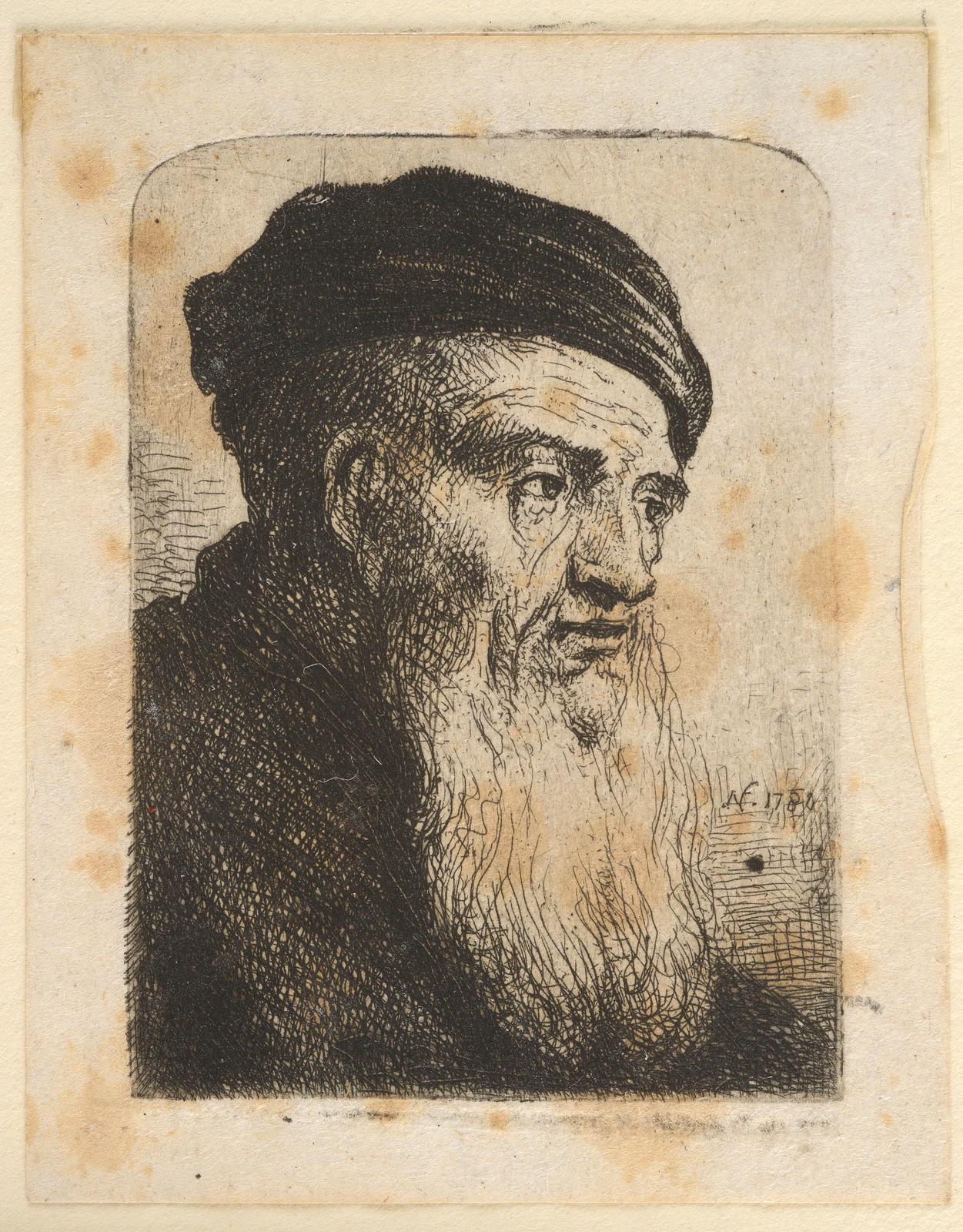 Head of an Old Man with a Long White Beard
