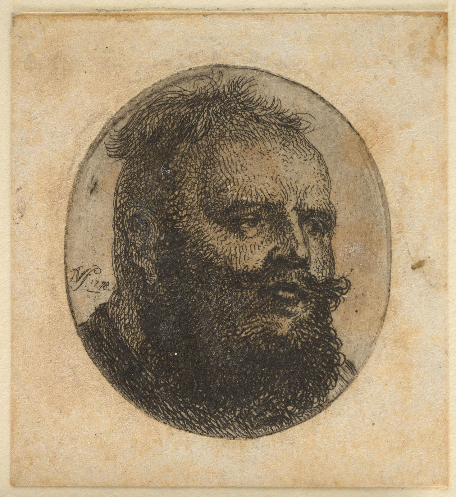 Head of a Man with a Bushy Beard