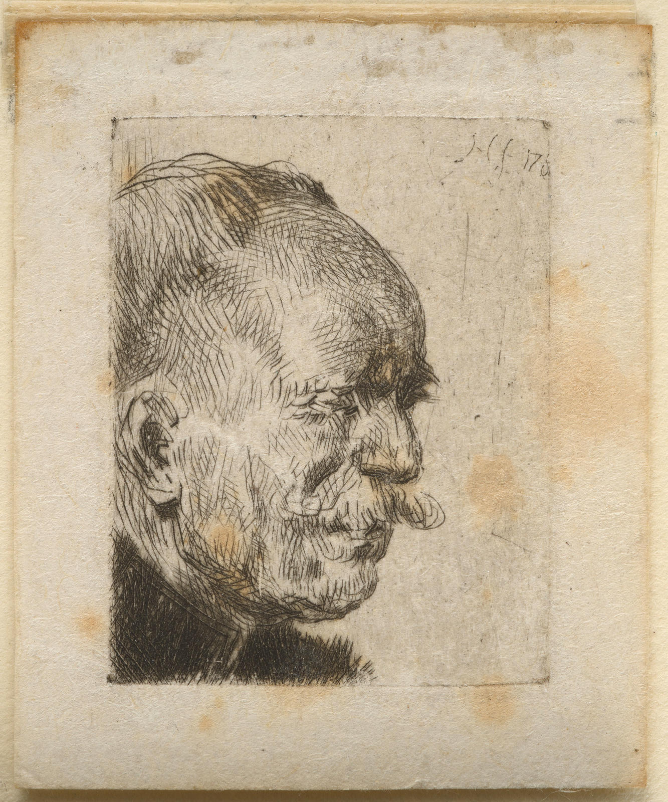 Head of a Balding man with a Moustache