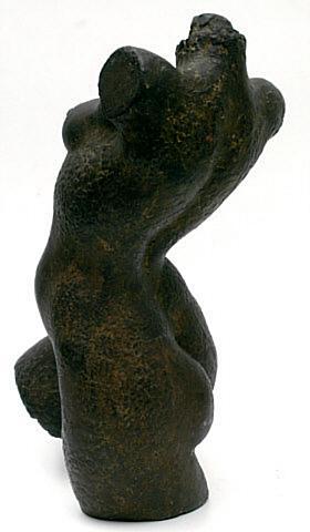 Torso