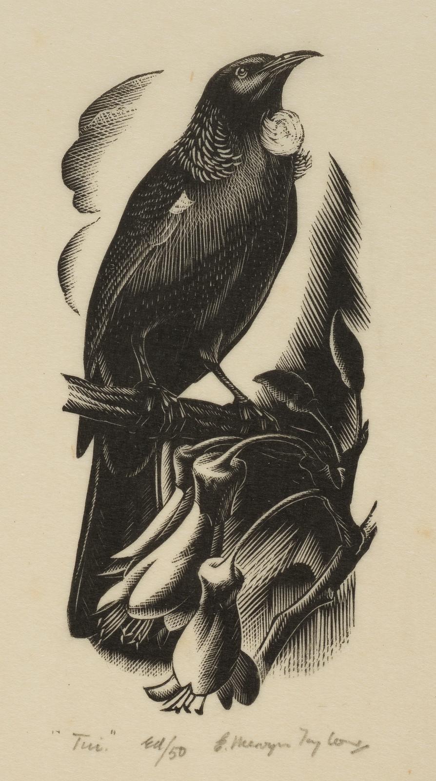 Tui