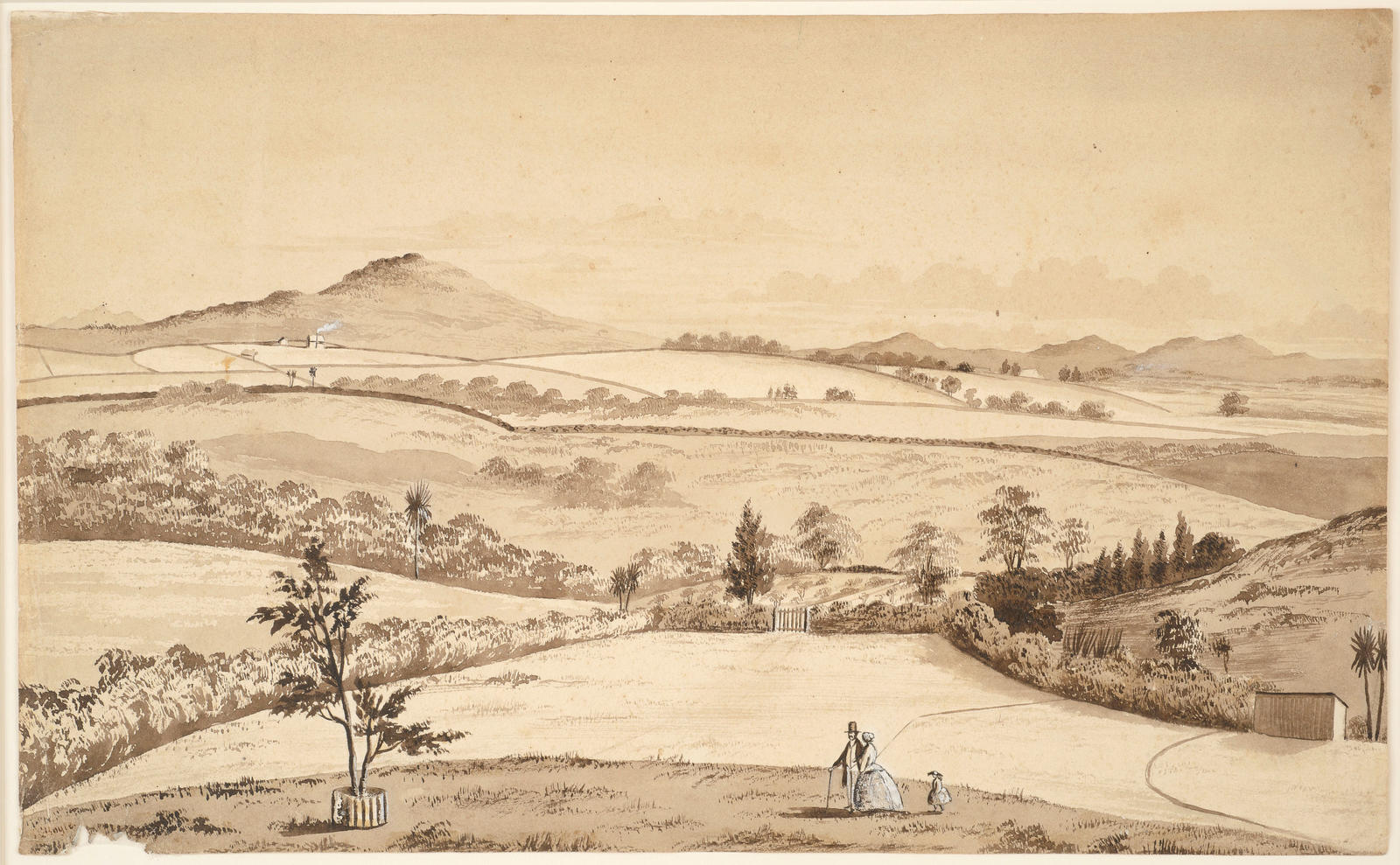 A.H. Spicer's Property at Avondale