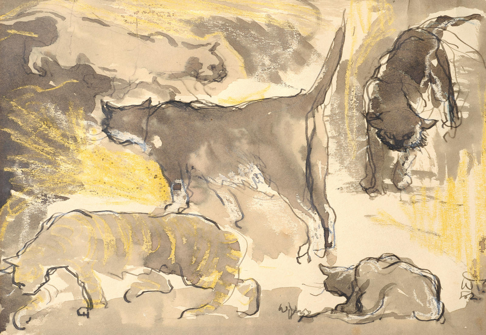 Cats
