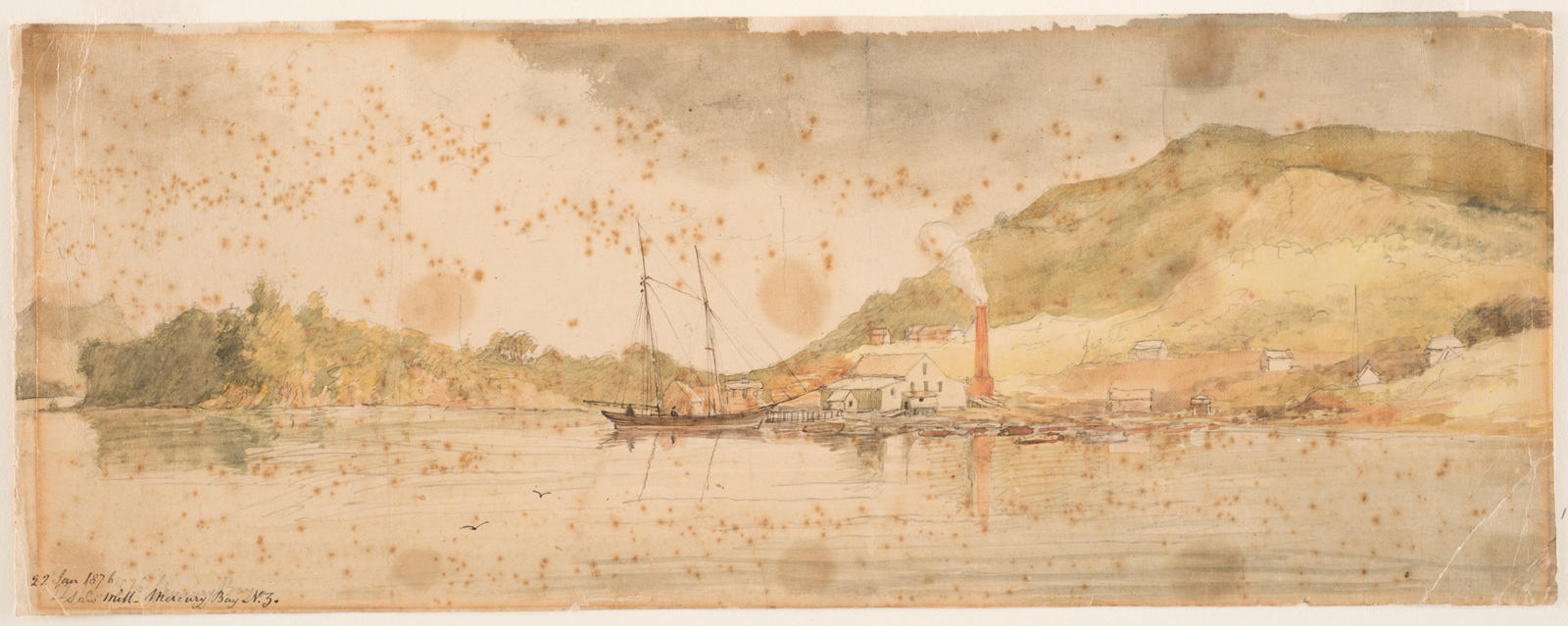 Saw mill, Mercury Bay, New Zealand