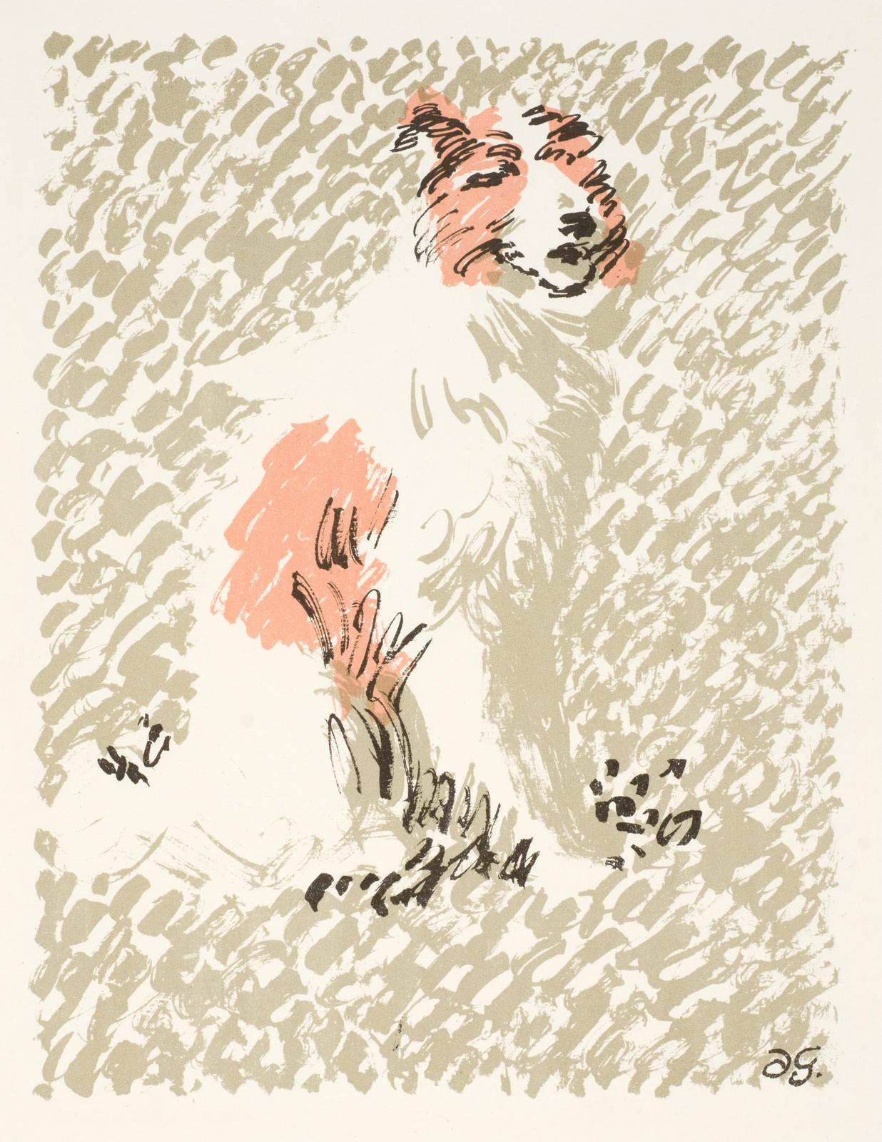 Collie Dog