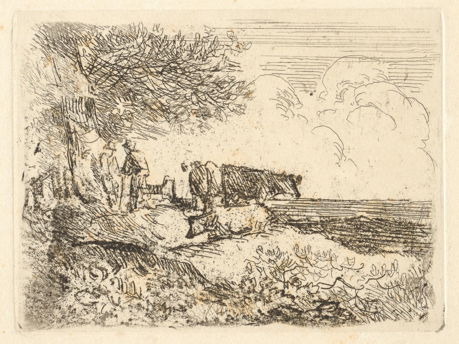 Men and Cows