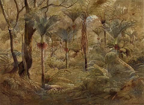 Nikau Palms