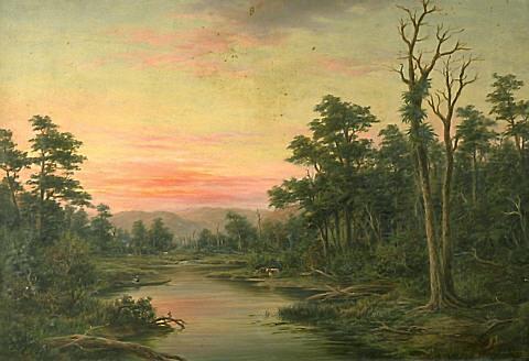 Evening Near Taihape