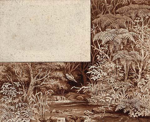 New Zealand Bush (Unfinished design for a Christmas Card)